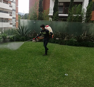 WhatsApp Image 2022-10-17 at 11.19.50 AM.jpeg