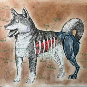 Anatomy of Resilience