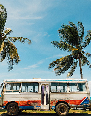 Palm trees and tropical beach in Jamaica