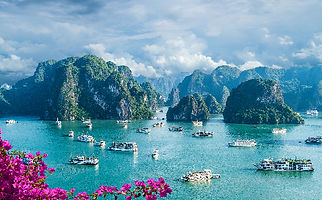 AdobeStock_317327959_edited.jpg