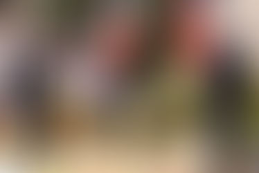 Commémoration du 11 novembre