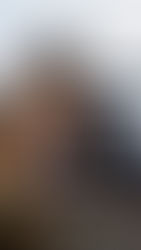 Mon interpellation au ministre Sébastien Lecornu sur l'envoi de troupes en Ukraine évoqué par Emmanuel Macron