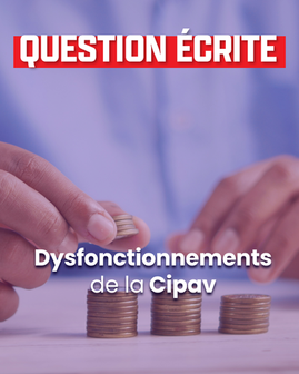 Disfonctionnements de la Cipav