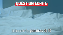 La lutte contre les punaises de lit