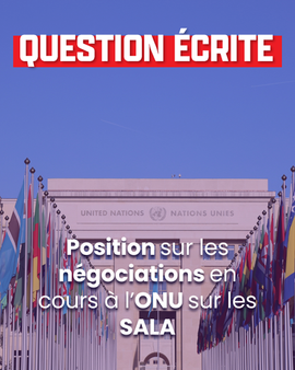 Position sur les négociations en cours à l'ONU sur les SALA