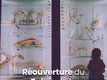 Réouverture du Palais de la découverte