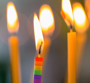 shutterstock_1277218132.jpg