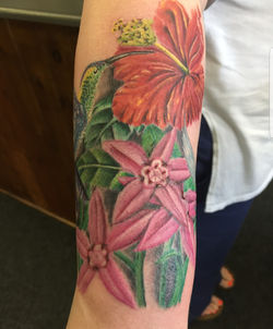 Paul%20Cardine_edited