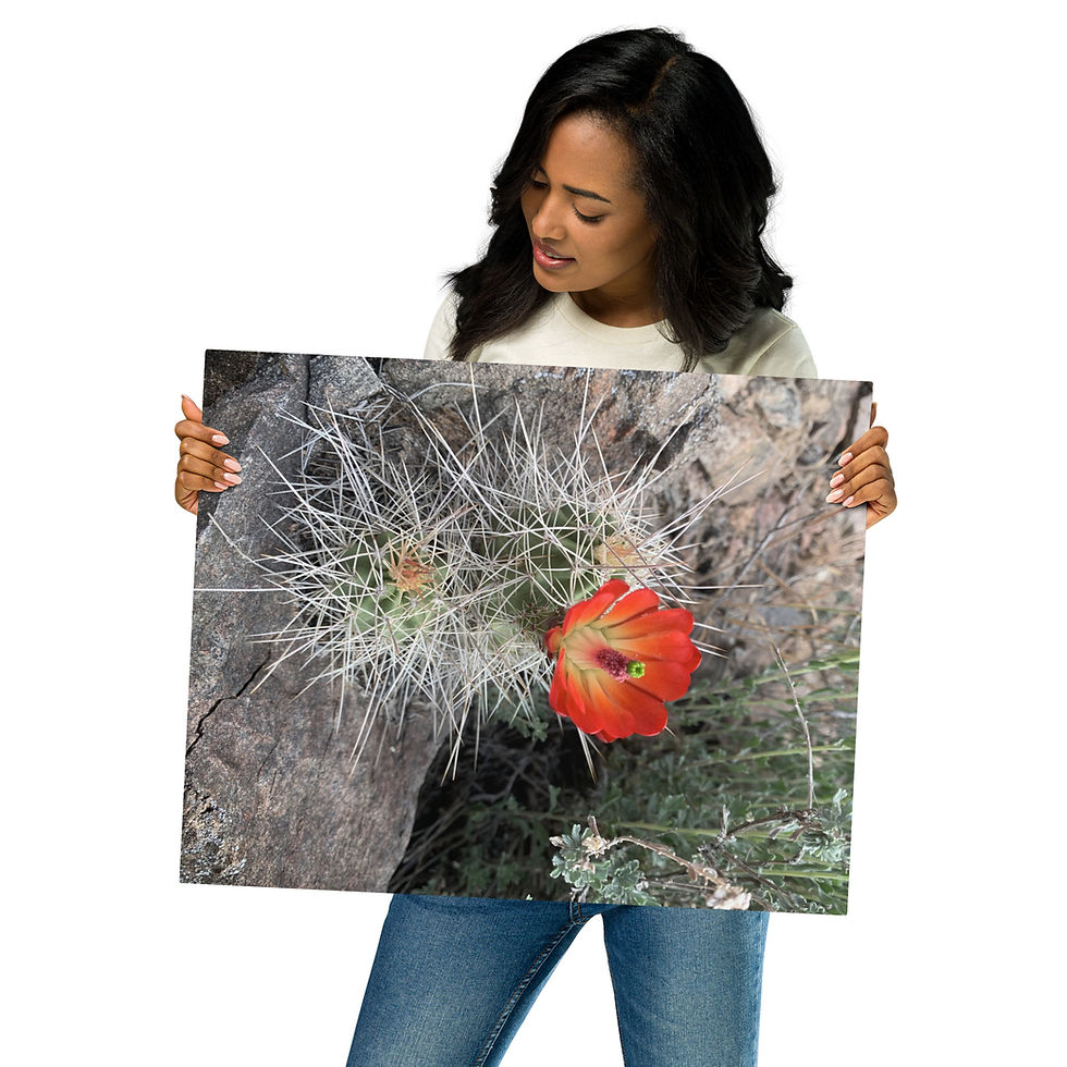Thumbnail: Metal prints
