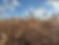 IMG_2199.jpeg