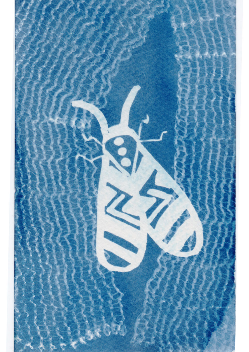 Proyecto Moths