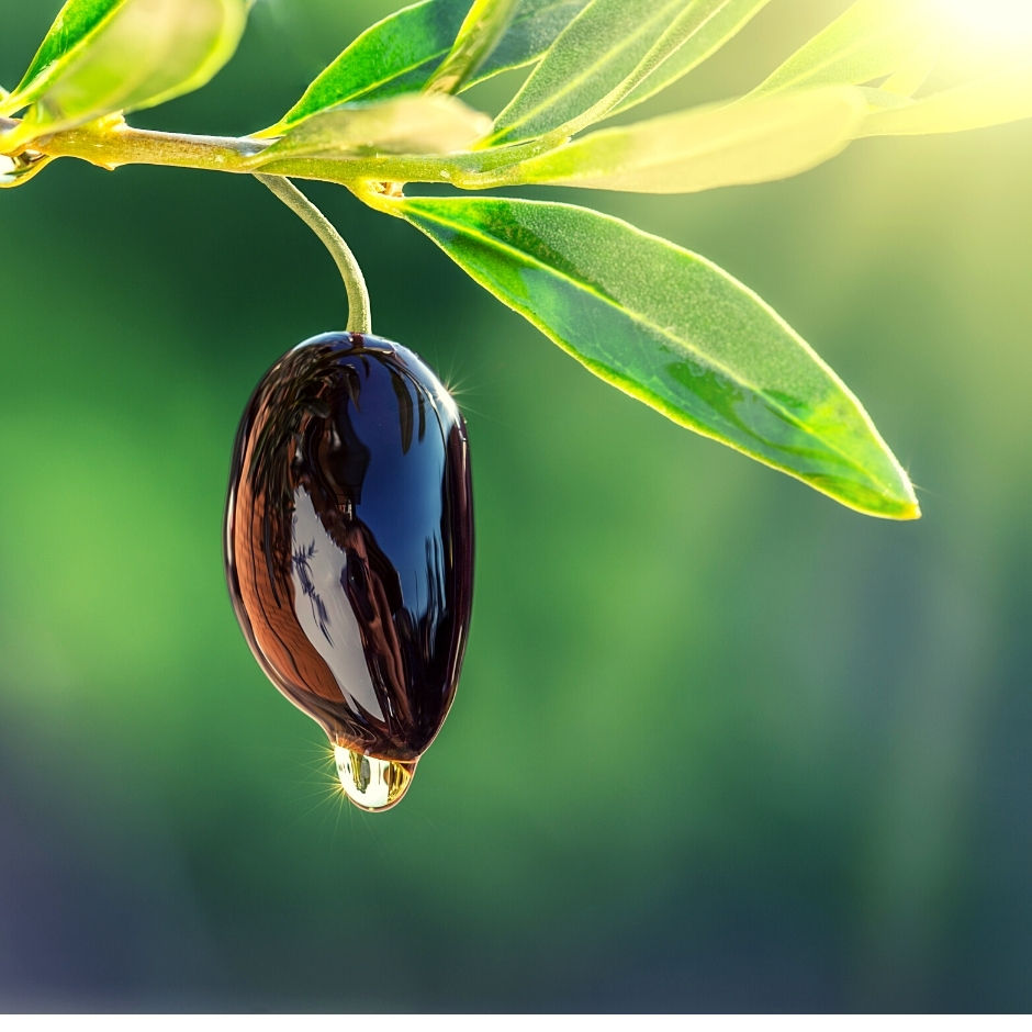 Olive Squalane What It Is And How It Benefits Your Skin The Rich