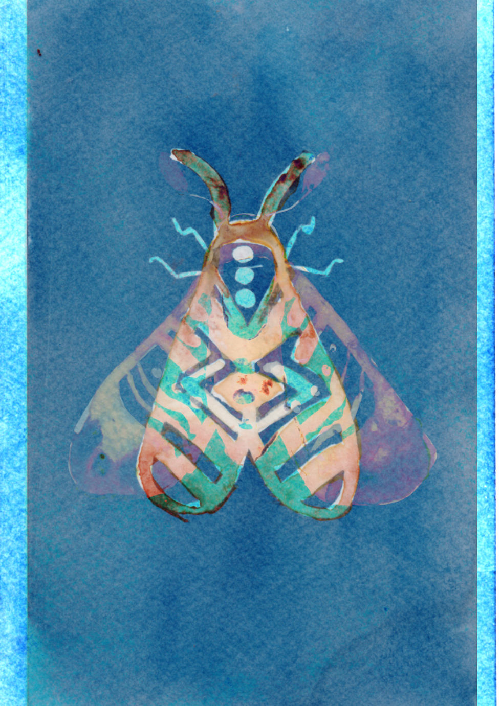 Proyecto Moths