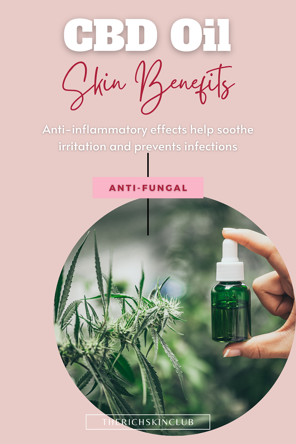 CBD Oil.. What is it? And why is it in your skincare? We're breaking down the benefits and facts that CBD oil has for skin. Is it just a fad? Or does it really have big beauty benefits? Click here for all the CBD details and Fior Awaken Eye Cream Review! #CBDOil #TrueFior #CBDOilBenefits