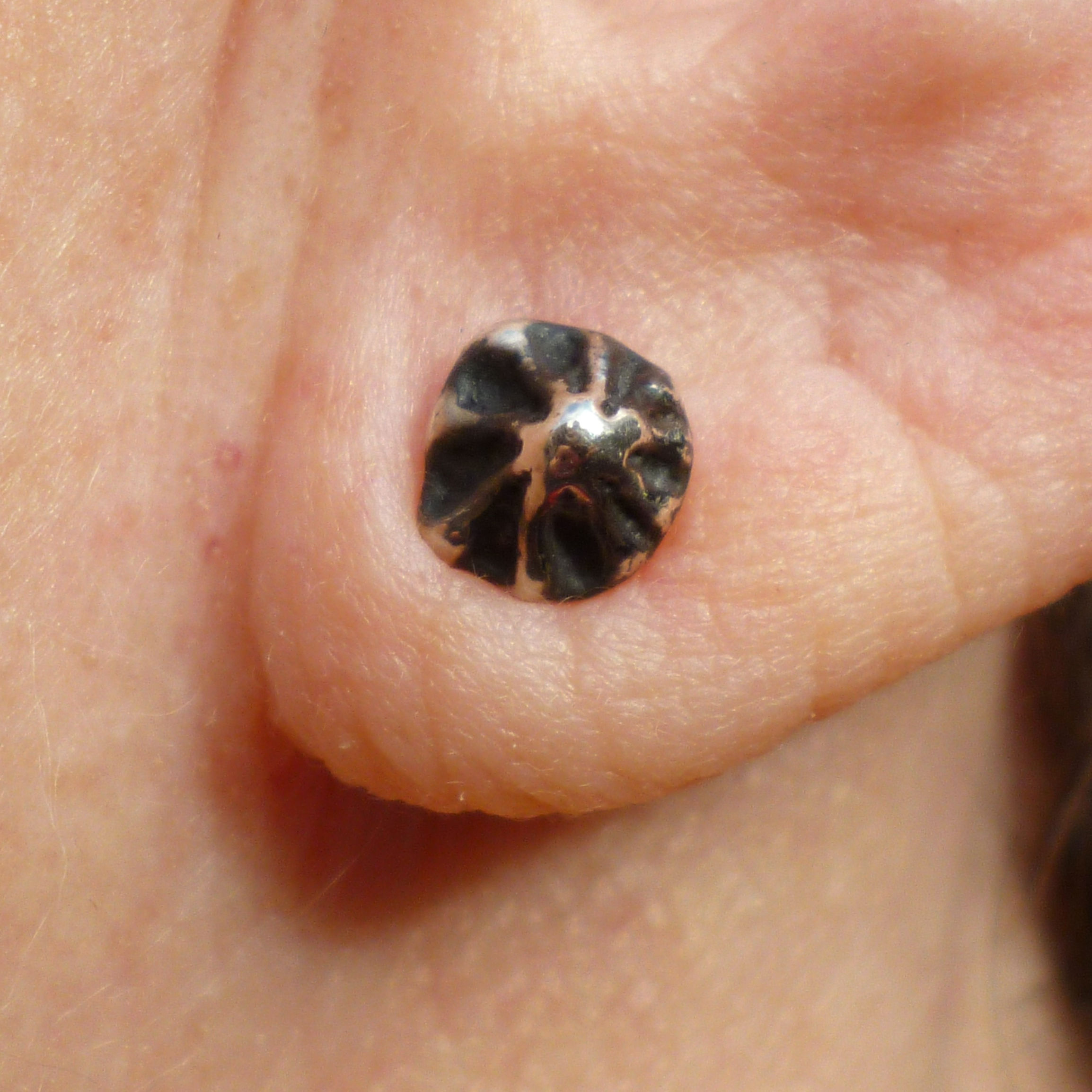 front view of poppy seed head solid silver stud earring being worn in ear.