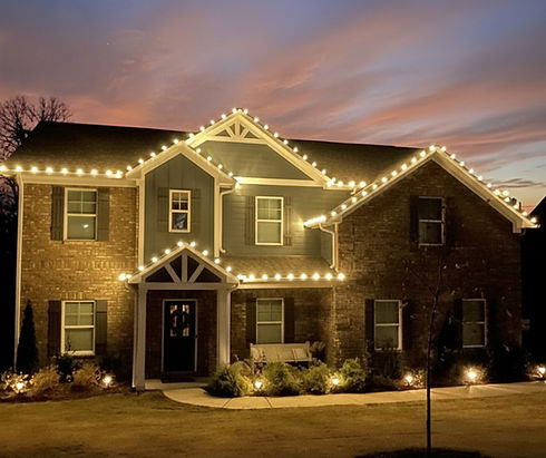 Growing Green Landscapes Christmas Light Installation.jpg
