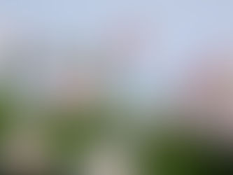 Rosen im Sommer und Ayurveda