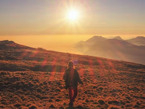 Does EMDR Really Work?