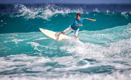 happy+dolphin+surf.png