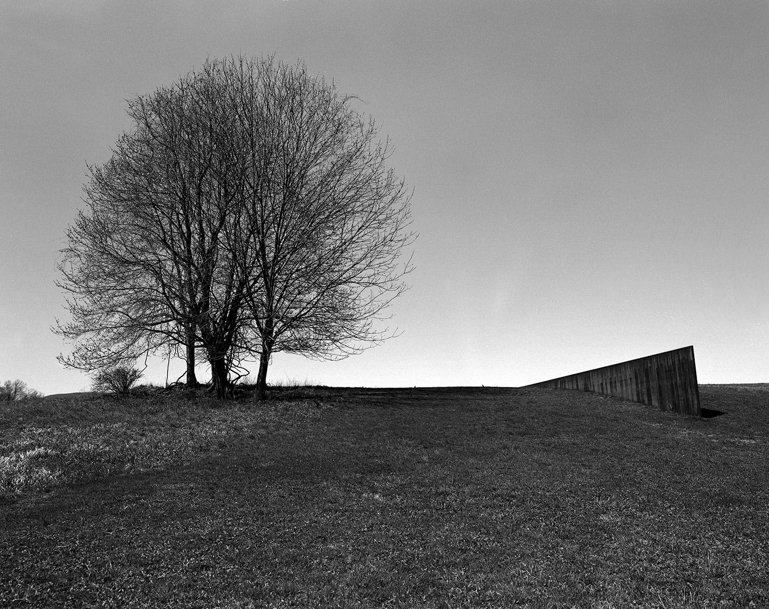 Fotografía DEACON NY