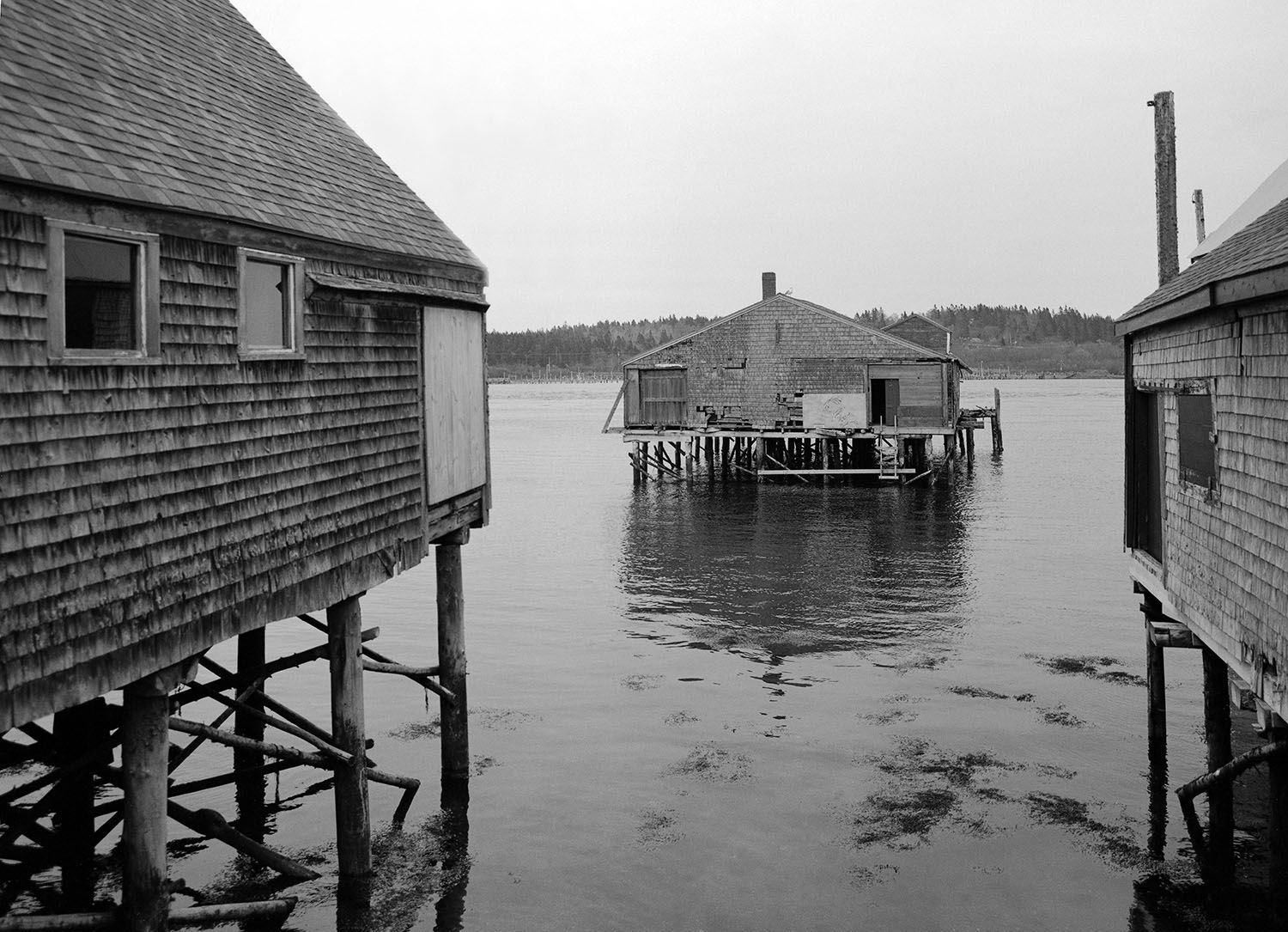 Fotografía BOSTON 2