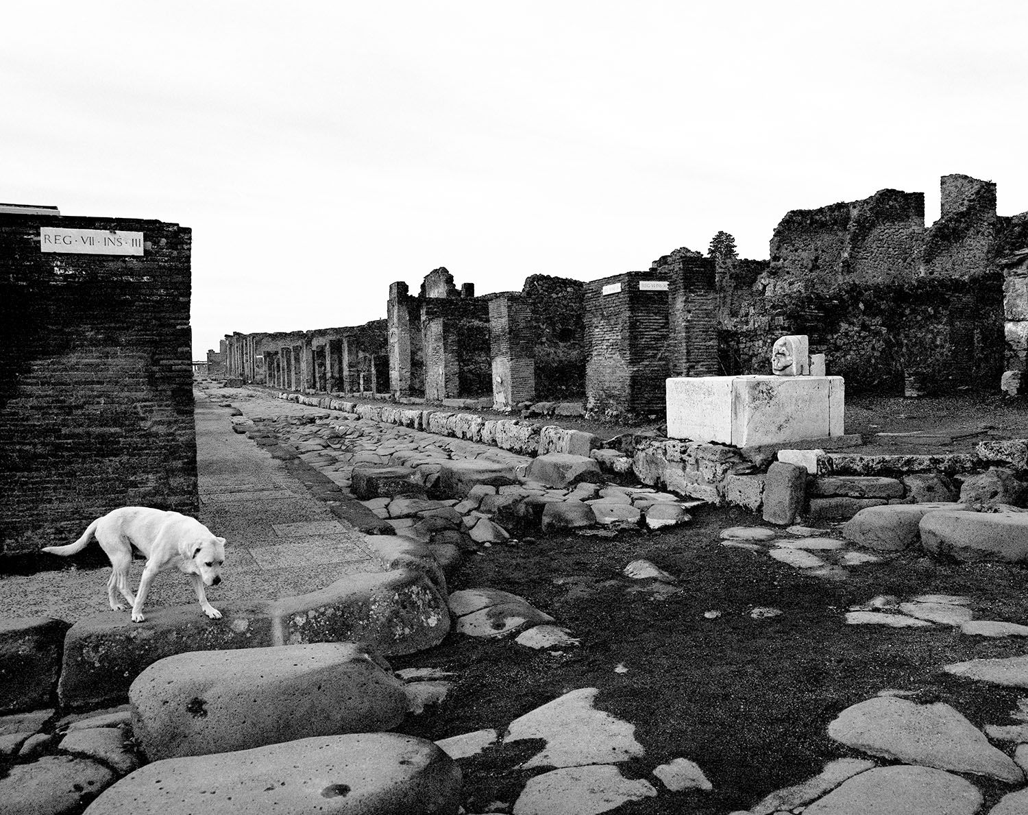 Fotografía SUR ITALIA 3