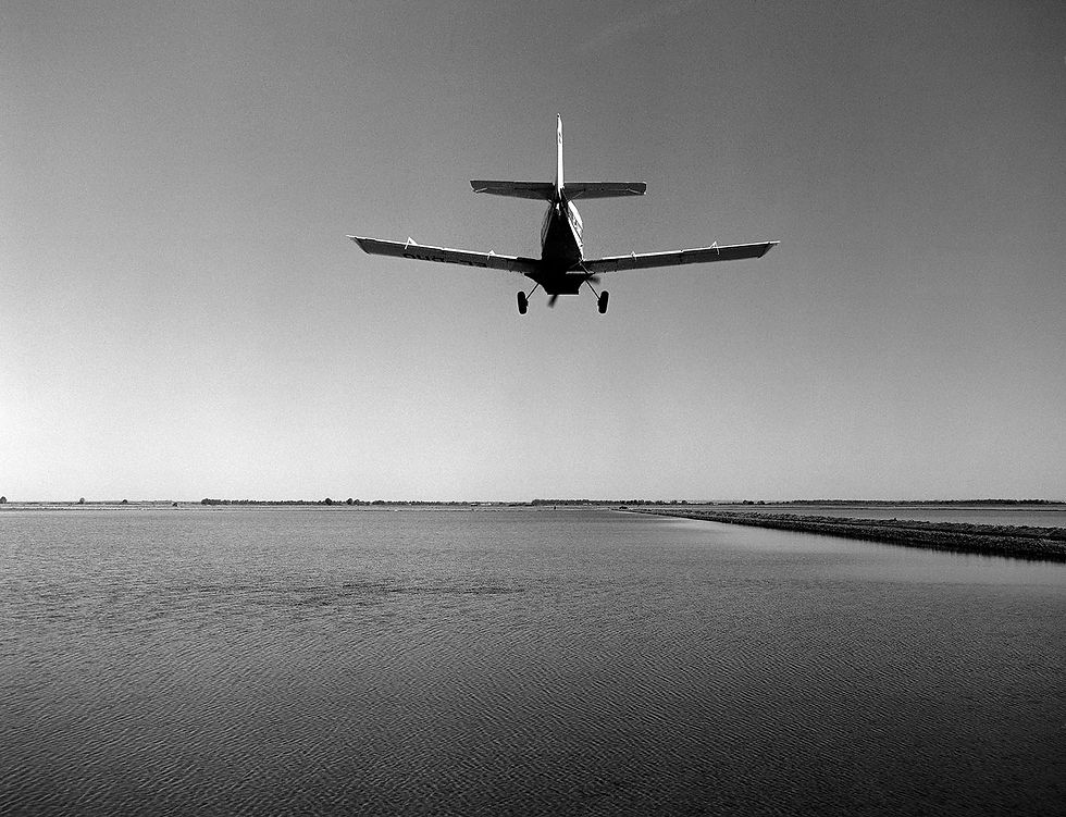 Fotografía ISLA MENOR 4