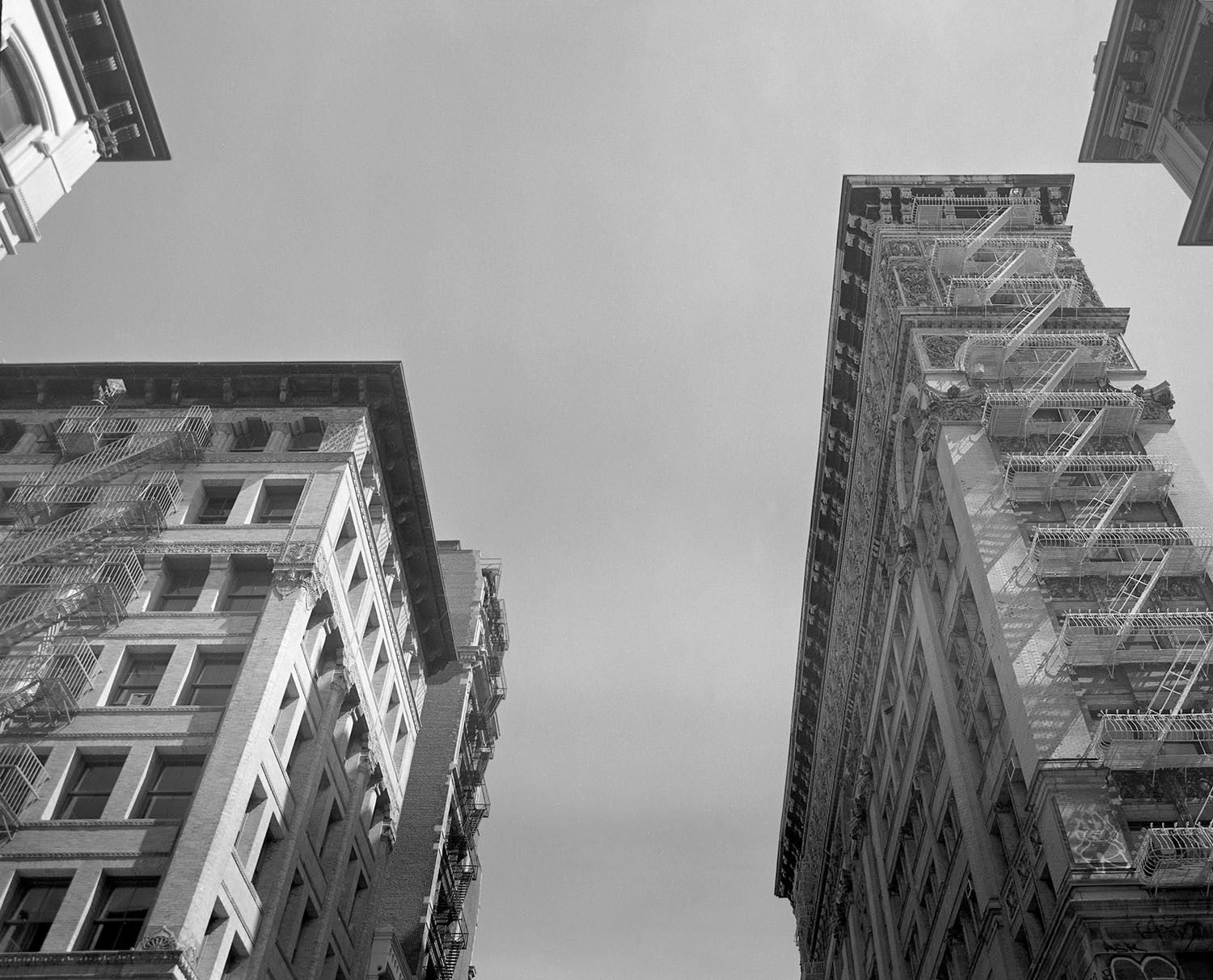 Fotografía NY 9