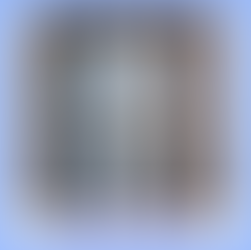 11月20日公開 玄関ドア交換工事