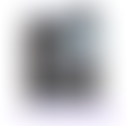 2月17日公開 ポリカ屋根材の交換修理について