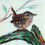 Thumbnail: Wren