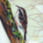 LT SQ 36 Treecreeper FRONT