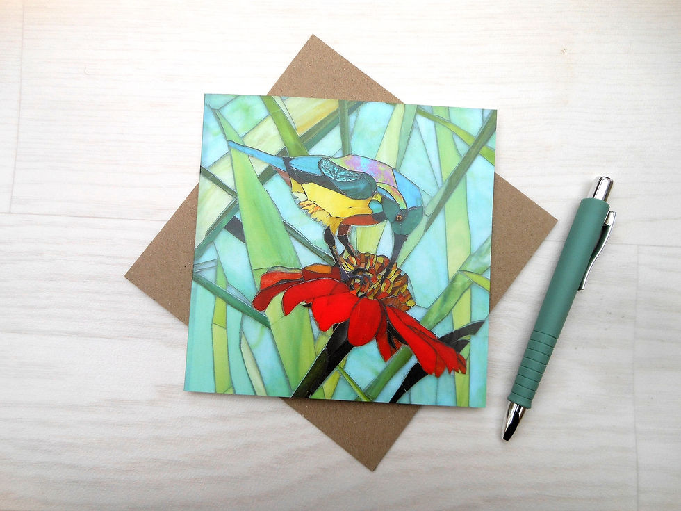 Thumbnail: Sunbird on Echinacea