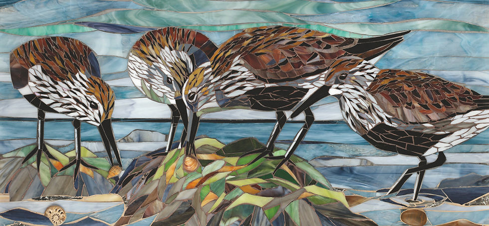 Thumbnail: Dunlins