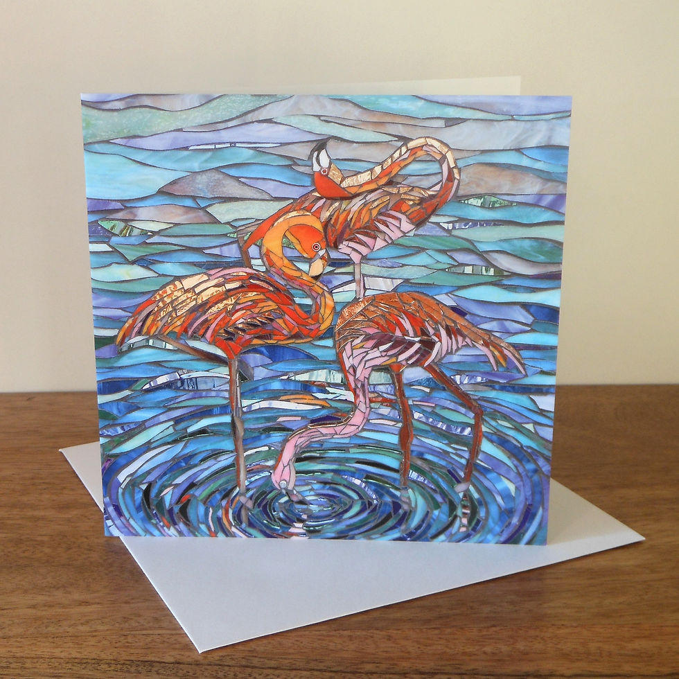 Thumbnail: Flamingos