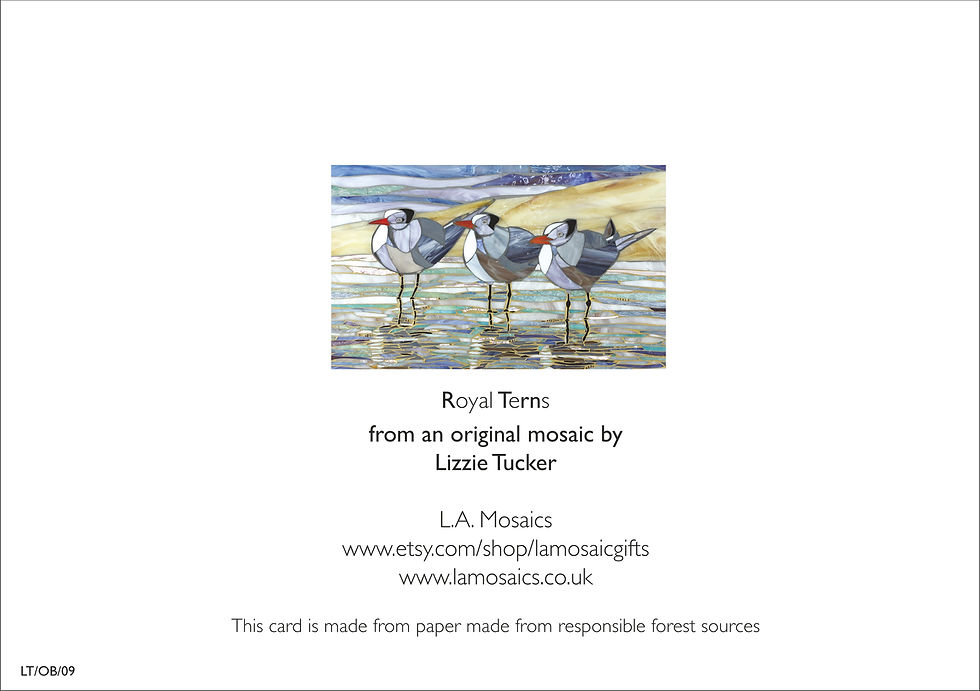 Thumbnail: Royal Terns