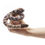 Thumbnail: Folkmanis Mini Rattlesnake