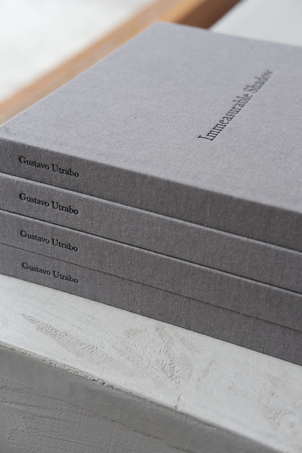 Miniatura: livro immeasurable shadow