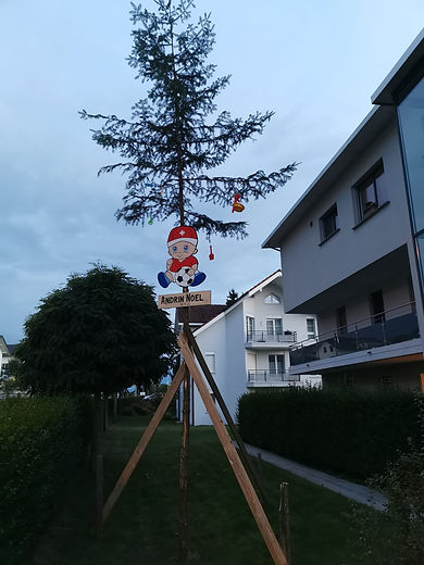 Böimlistellen_Raphi.jpeg