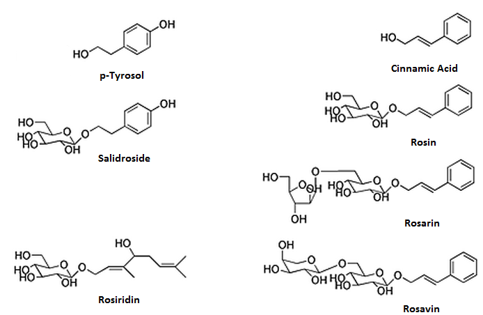 Miniatura: Rhodiola Rosea Extract | Rosavins | VEGPHARM | VEGSCI