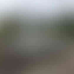 Our first stall at Newton Farm shop