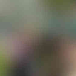 Herbs and Nature first cohort