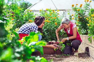 7. women working together (1).jpeg