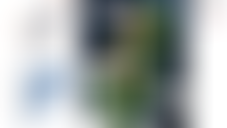 【CSR - Visualizing Data】View the Tourists before and after Covid-19 from National Scenic Area