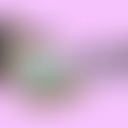 【若為自由故】自由工作者的不自由