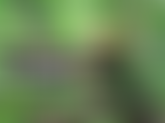 【職涯無限可能】棄10年單車愛好、3萬月薪 跳出「舒適圈」考牌當攀樹師