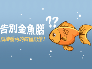 告別金魚腦:訓練腦內的四種記憶!