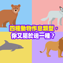 【睡眠的科學】四種動物作息類型,你又屬於邊一種?