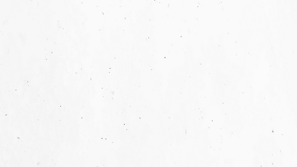 Website Background_3x.png