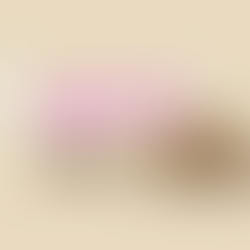 【身心靈】如何找回生活的動力